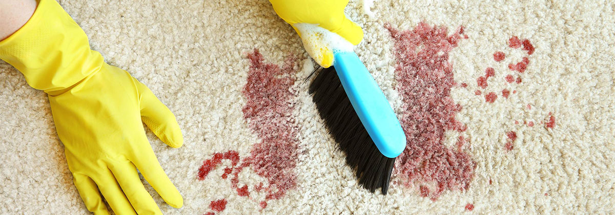 How to Remove Blood Stains from Your Carpet