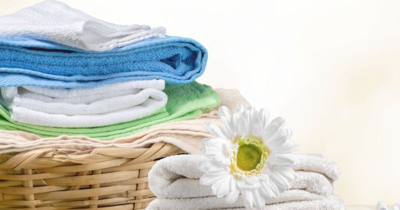 Eco-Friendly Laundry Practices